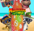 Madagascar: A Little Wild