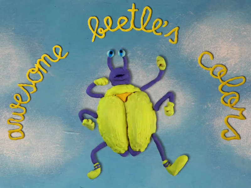 Foto 1 de Awesome Beetle's Colors