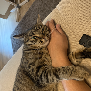 Foto de perfil de Gabriel