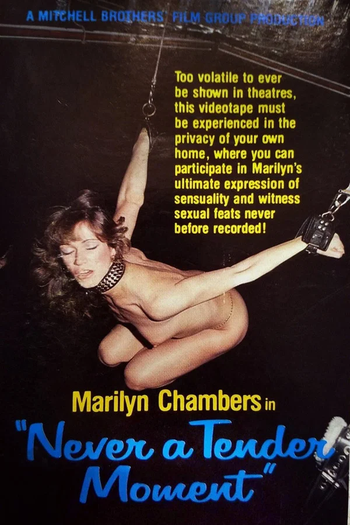 Poster de Curta Never a Tender Moment (1979)