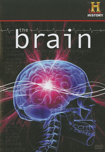 O Cérebro (The Brain)