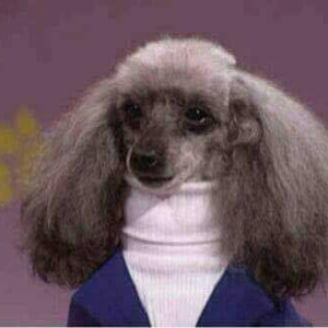 Foto de perfil de Amanda