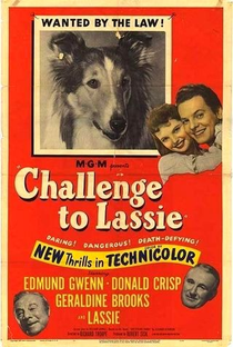 Desafio de Lassie - Poster / Capa / Cartaz - Oficial 2