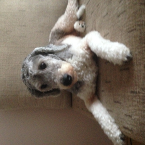Foto de perfil de Mel