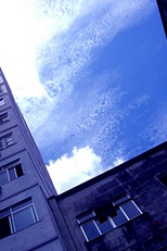 Invisíveis Prazeres Cotidianos (Invisíveis Prazeres Cotidianos)