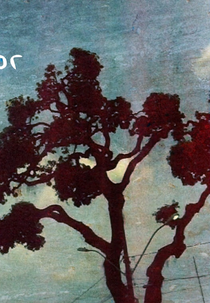 Qual a cor do seu céu ? (Qual a cor do seu céu ?)