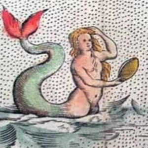 Foto de perfil de xxxxx