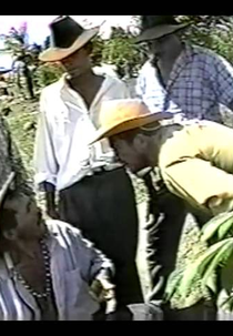 A Moça e o Rapaz Valente (A Moça e o Rapaz Valente)