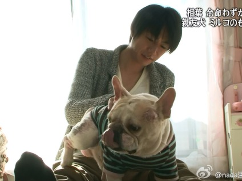 Foto 13 de Tensai! Shimura Dōbutsuen