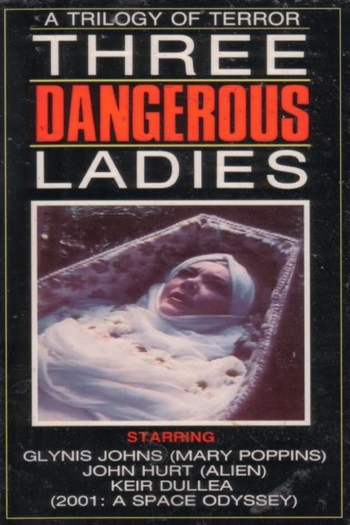 Poster de Filme Three Dangerous Ladies (1977)