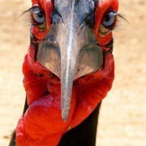 Foto de perfil de Fernando Bem