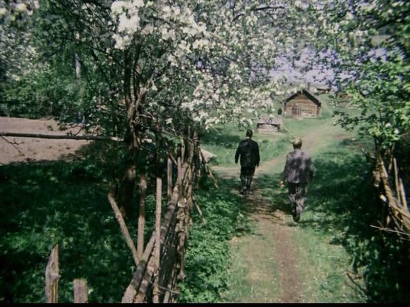 Foto 1 de The Red Snowball Tree 