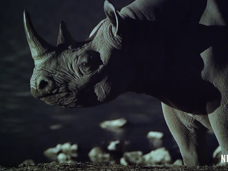 Foto 1 de A Terra à Noite