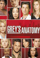 A Anatomia de Grey (4ª Temporada)