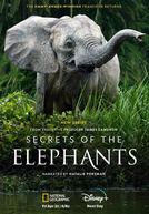 Segredos dos Elefantes (Secrets of the Elephants)