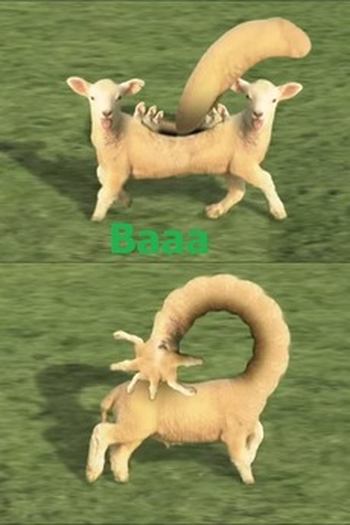 Poster de Curta Baaa (2011)