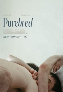 Purebred (Purebred)