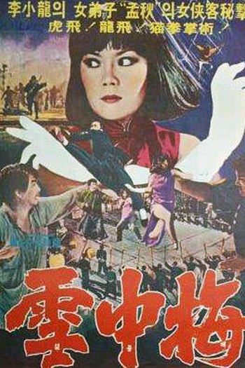 Poster de Filme Snow Plum Blossom (1976)