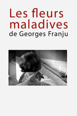 As Flores Doentias de Georges Franju (Les Fleurs Maladives de Georges Franju)