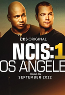 NCIS: Los Angeles (14ª Temporada) (NCIS: Los Angeles (Season 14))