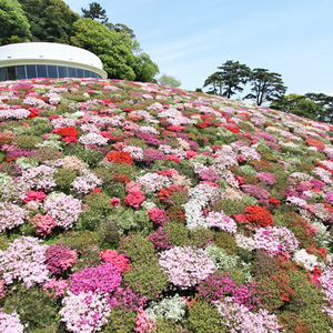 Foto de perfil de Theit HG