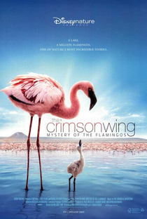 Grande Balé Vermelho: O Mistério Dos Flamingos - Poster / Capa / Cartaz - Oficial 3
