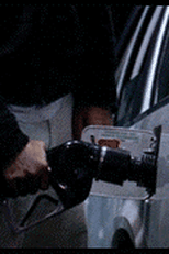 The Inappropriate Behavior of Our Alleged Loved Ones  (The Inappropriate Behavior of Our Alleged Loved Ones )