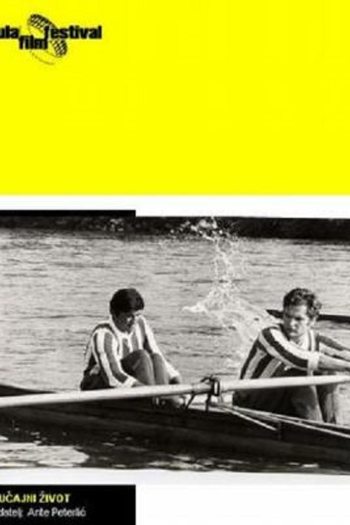 Poster de Filme Accidental Life (1969)