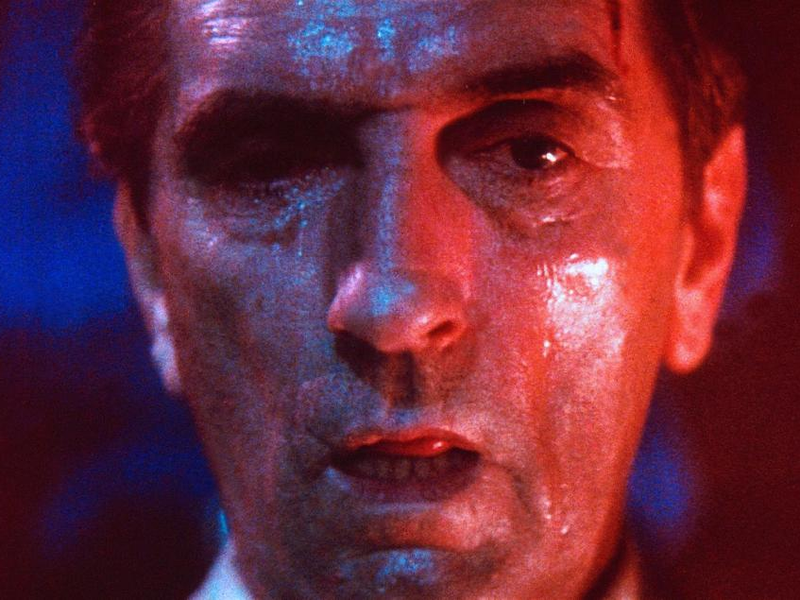 Foto 7 de Coração Selvagem