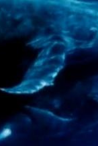 Poster 1 de Curta Lost Avenues (1991)