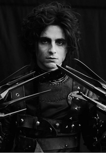 Edgar Scissorhands (Edgar Scissorhands)