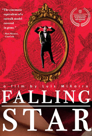 Poster 5 de Filme Estrela Cadente (2014)