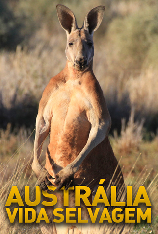 Poster 1 de Série Austrália - Vida Selvagem (2011)