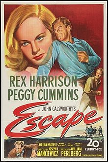 Poster de Filme Homem em Fuga (1948)