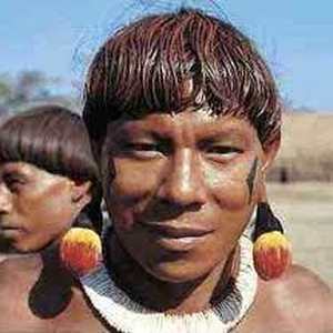 Foto de perfil de Indio Zarabatana