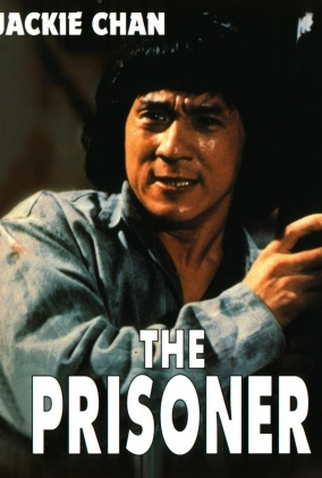 Poster 8 de Filme Missão na Ilha do Fogo (1990)