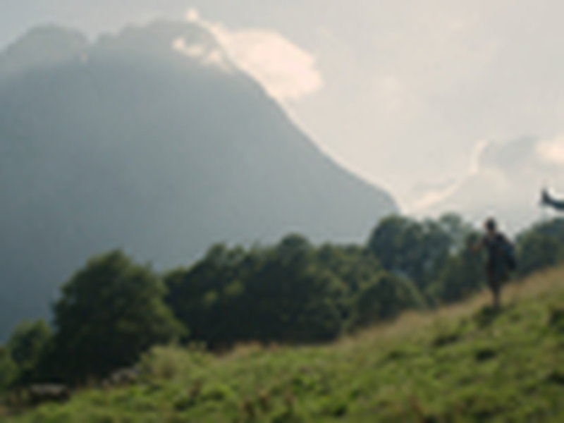 Foto 8 de A Bela Vida