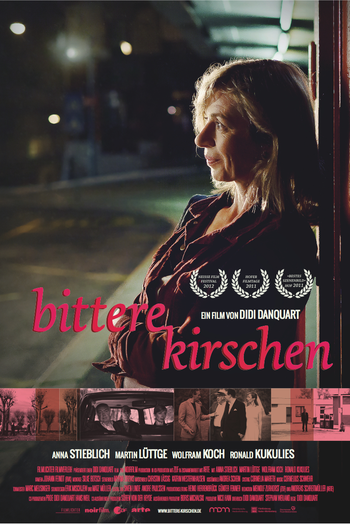 Poster de Filme Caminho Para o Passado (2011)