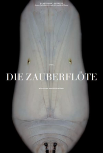 Mozart: Die Zauberflöte - Poster / Capa / Cartaz - Oficial 1