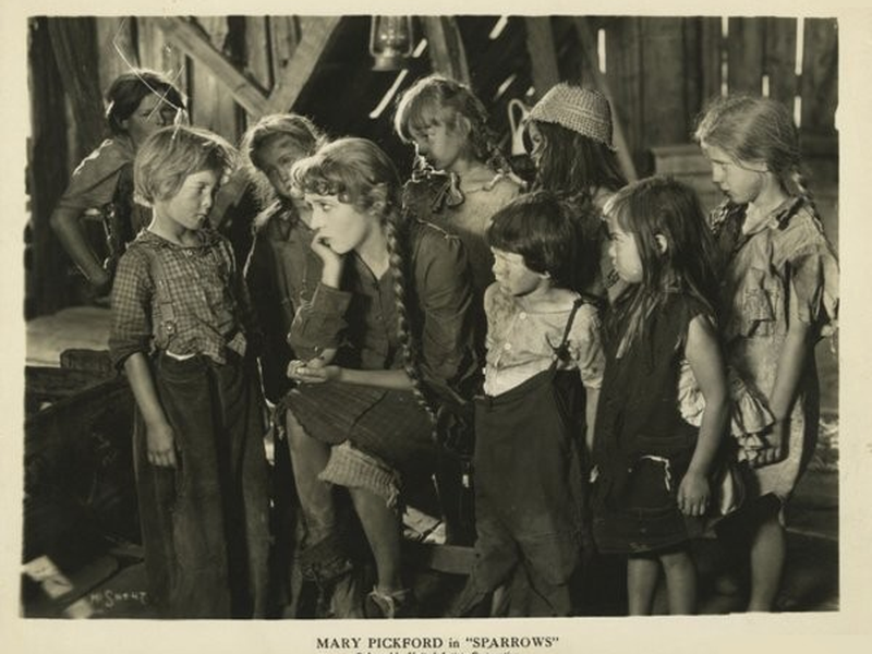 Foto 1 de Aves sem Ninho