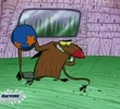 Euro Beavers