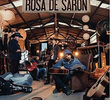 Rosa de Saron - Essencial