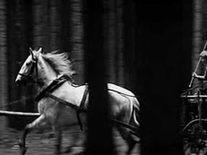 Foto 5 de Viva a República