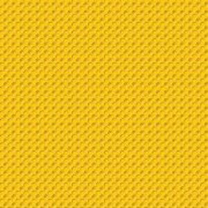 Foto de perfil de Luciana Yamamoto