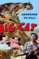 A Pantera (The Big Cat)