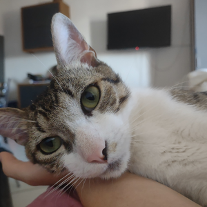 Foto de perfil de Luana