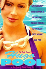 Um Dia Muito Louco (Hugo pool)