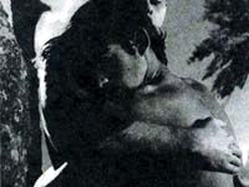 Foto 4 de O Menino e o Vento