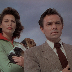 Foto de perfil de Lucas Alm