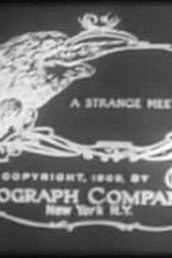 Poster de Curta A Strange Meeting (1909)